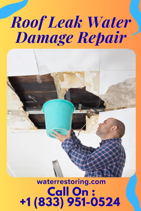 Roof Leak Water Damage Repair in Stilesville, IN
